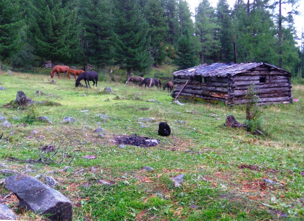 ������ �� �������