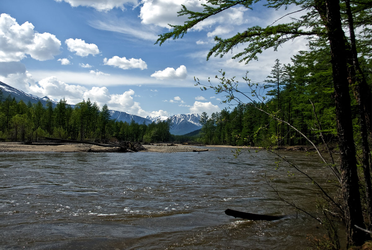 ����� � ������ �.�����