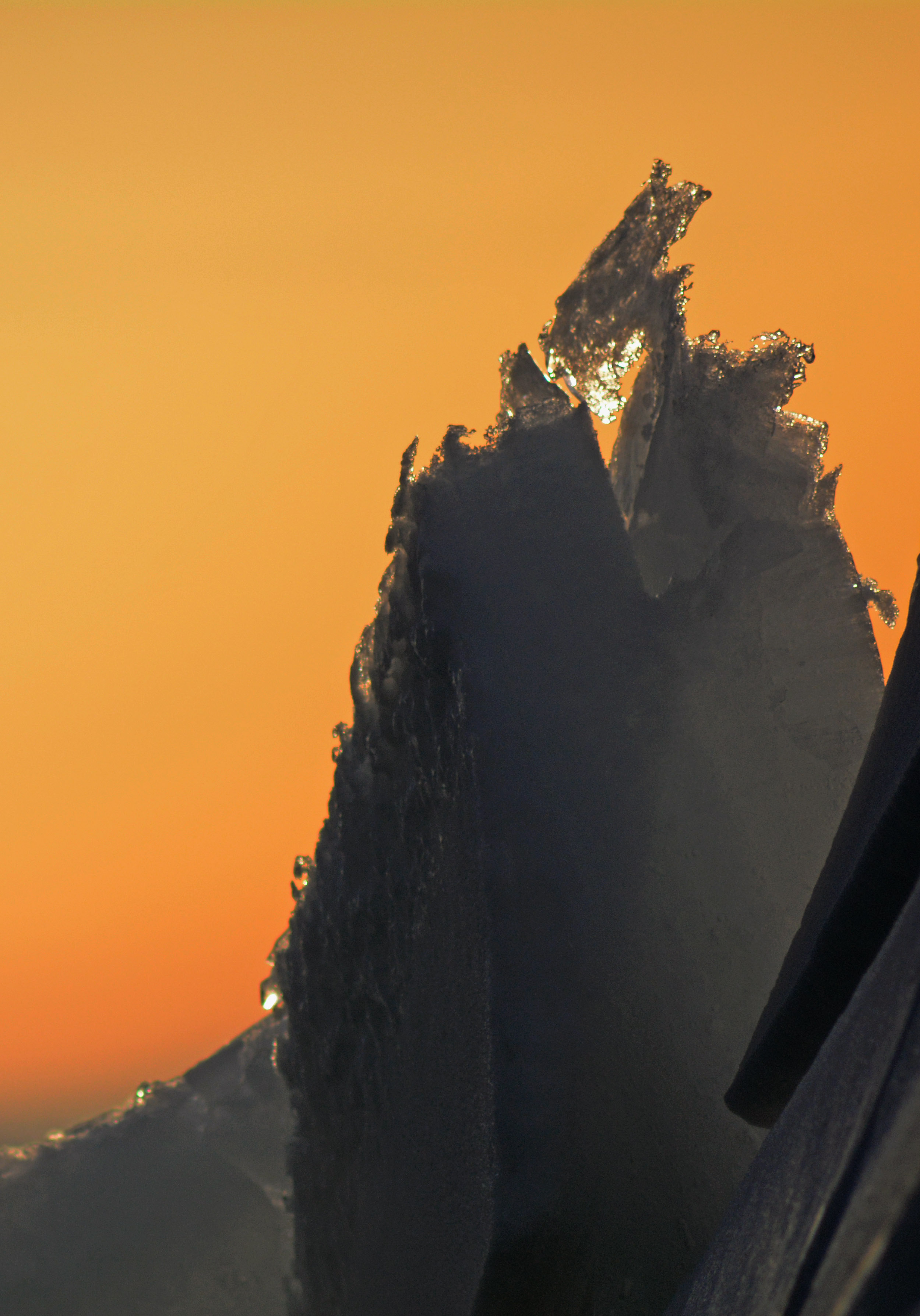 ���� ����� �����, ����� ����� �����