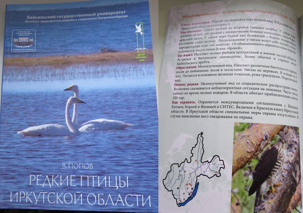 ��� ������� ����