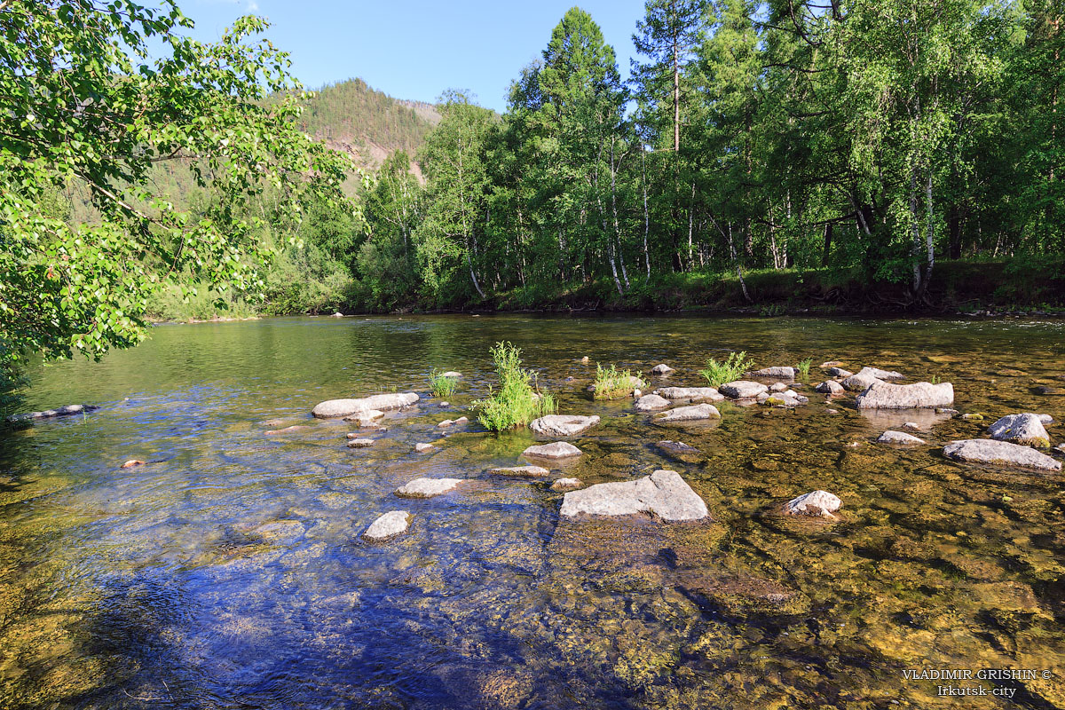 ������ �����������_����4