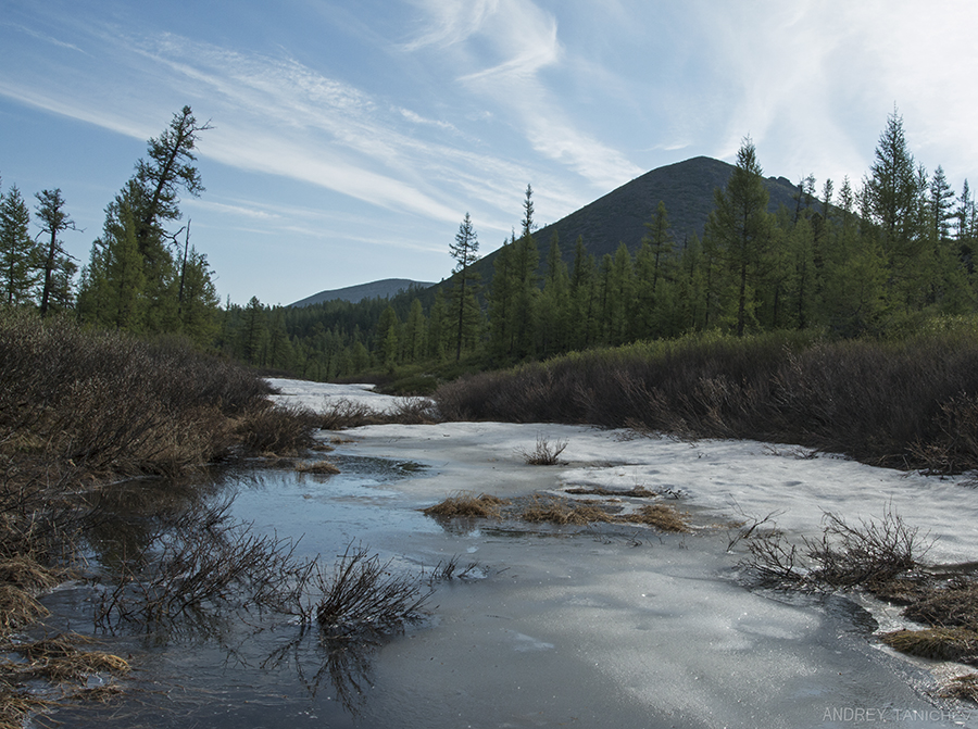 �������� ����. ������������� �����