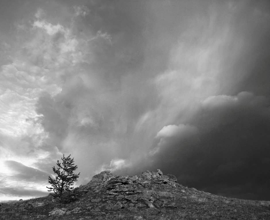 �� ������ ��