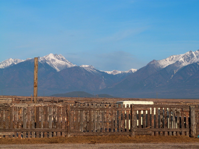 �������