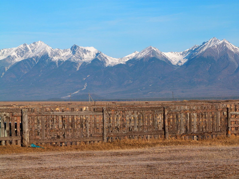 �������