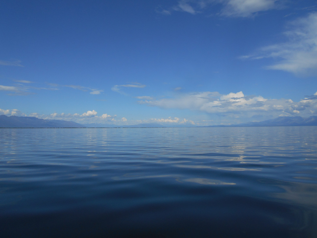 ����� ����� �������