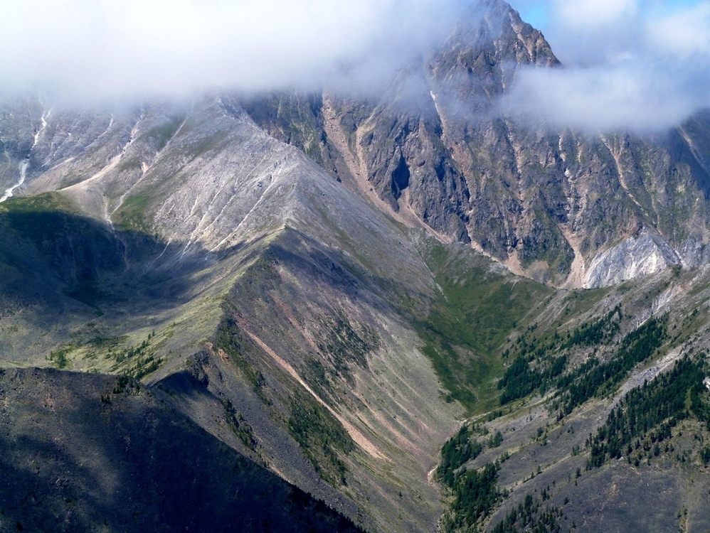 ��� � ������� ����������