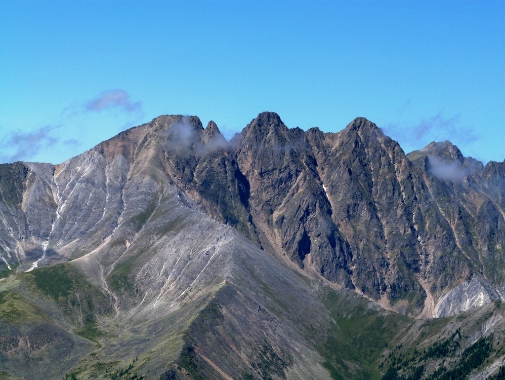 ���������� ��� ��������