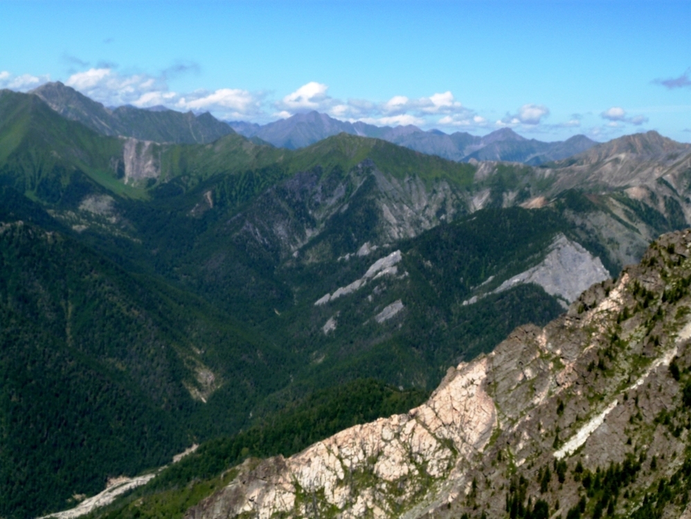 ��� � ����