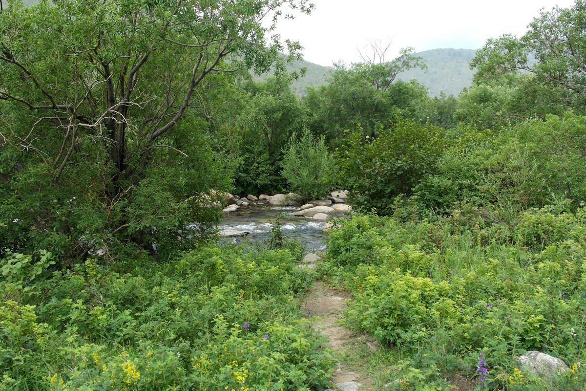 �������� � ����