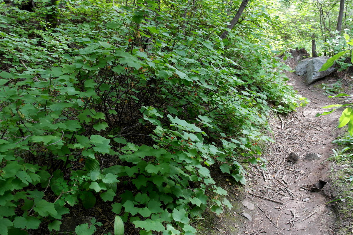 ������� ��������� �� �������� �������� ����� ����� ���� �����