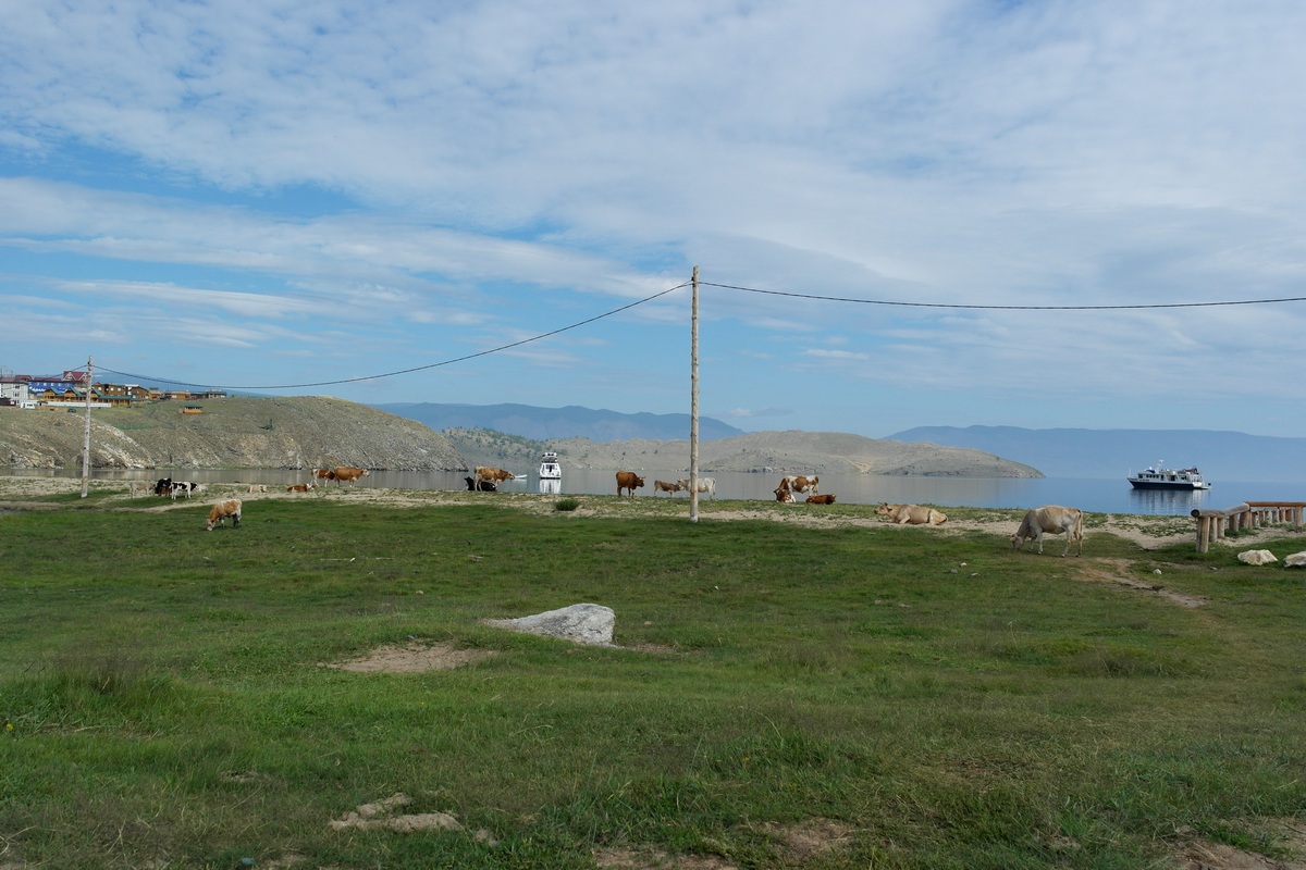 ��������.