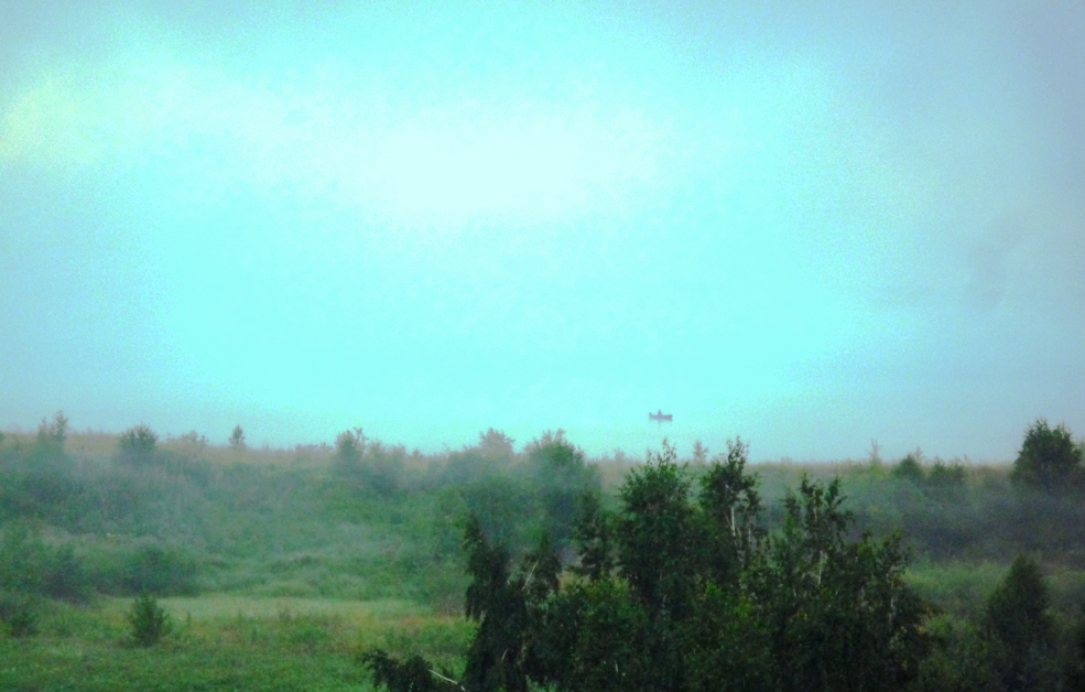 �������� ����. ��� �� ����