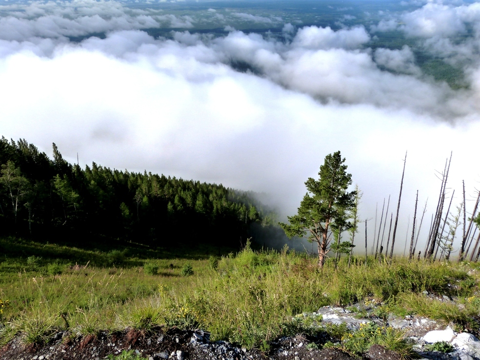 �� ����� �� ��� �����