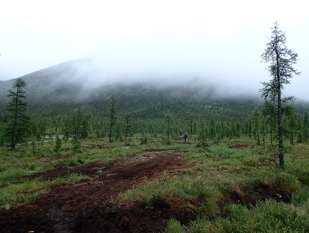 ������ �� ������