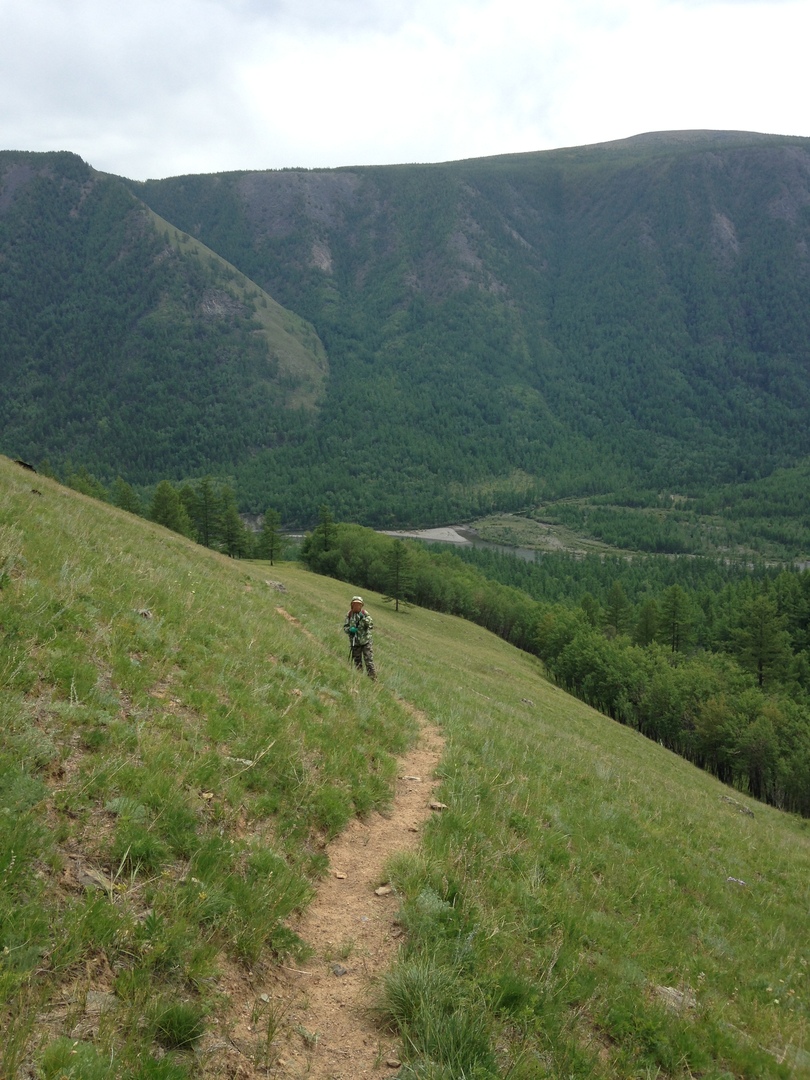 ����� �� �������