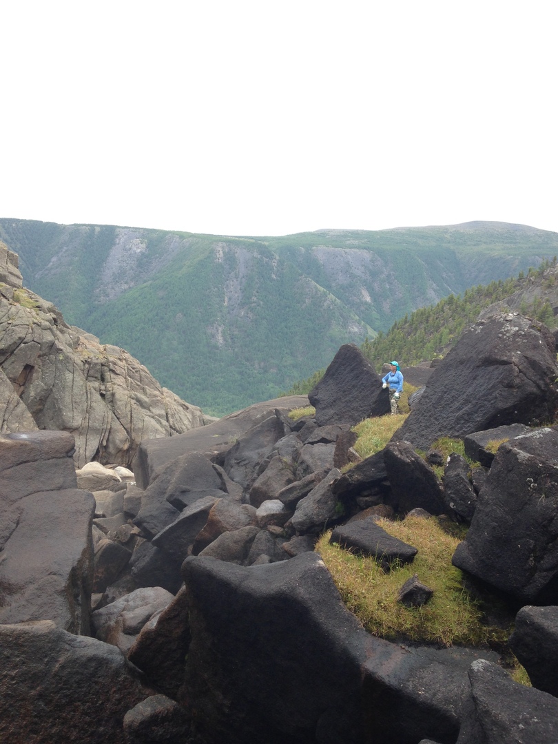 ׸���� ������ ��������