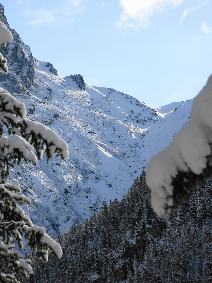 ������� ���� ��������� 2