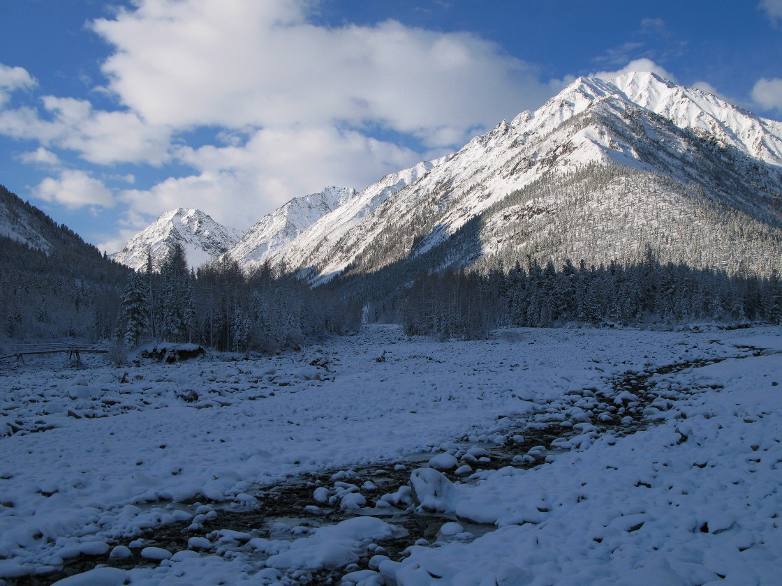 � ������ ������� ���� �� ������ �