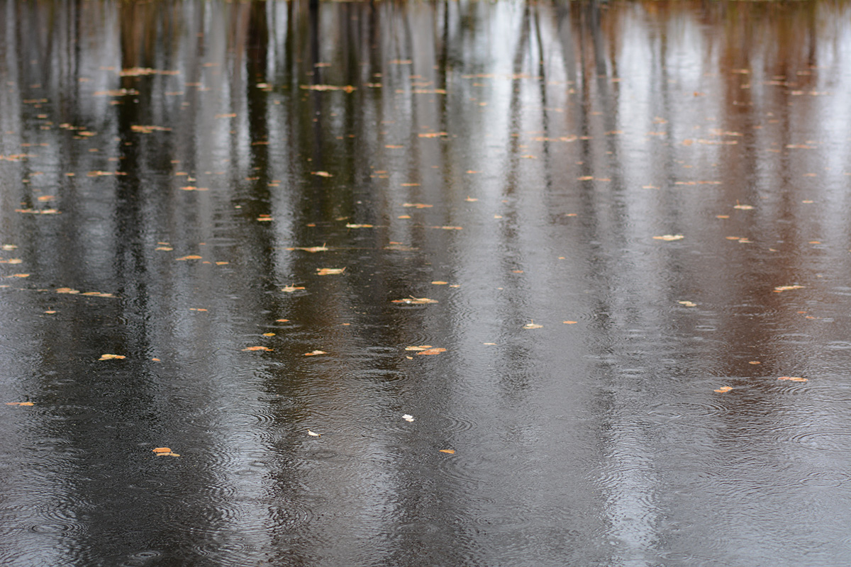 ������� ��������