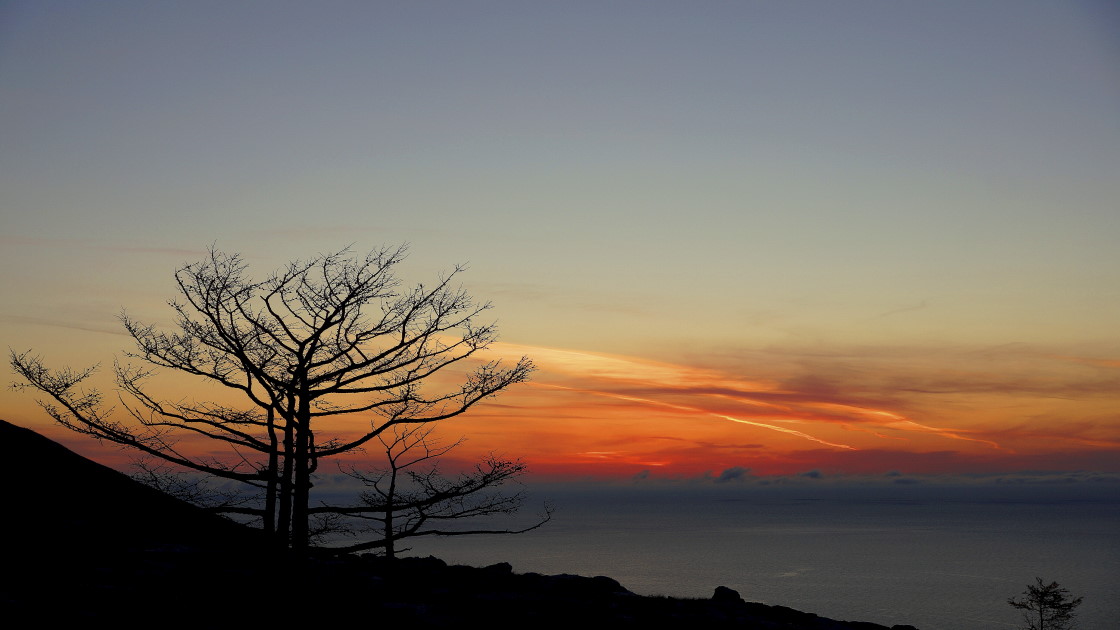 � ������������� ���������� �