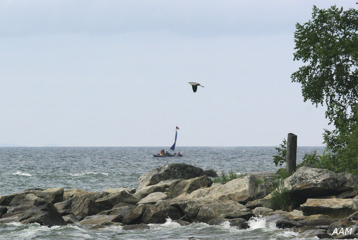 ���������� ��������