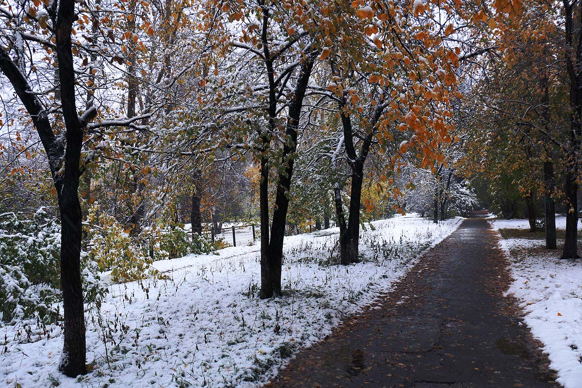 �� ������� ���� � �������� �����