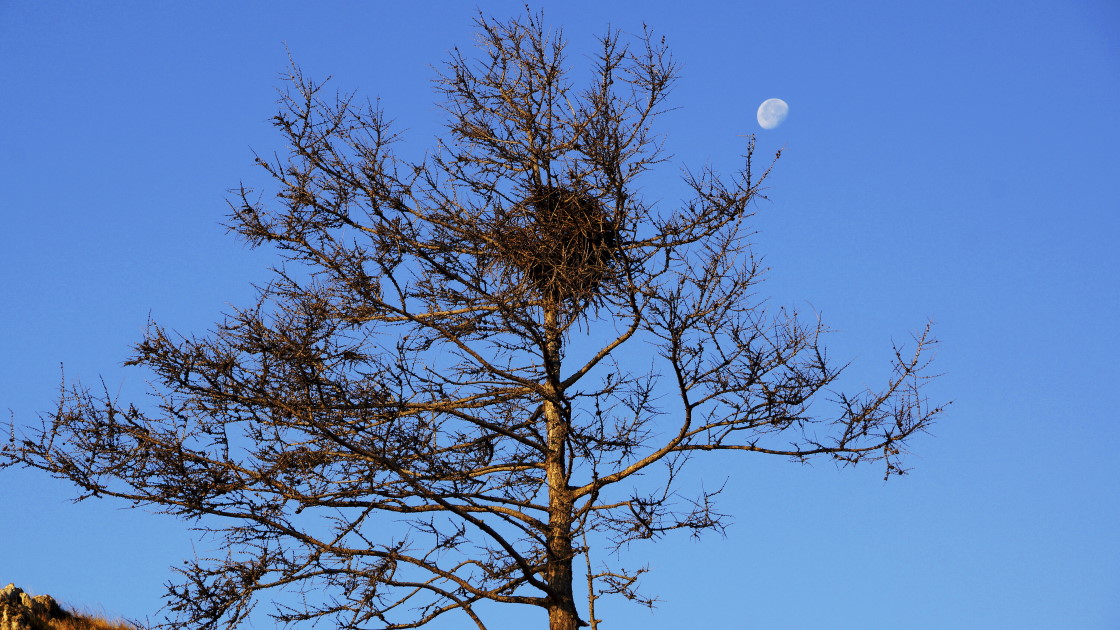 � �� ��� � ����, � ���� ������