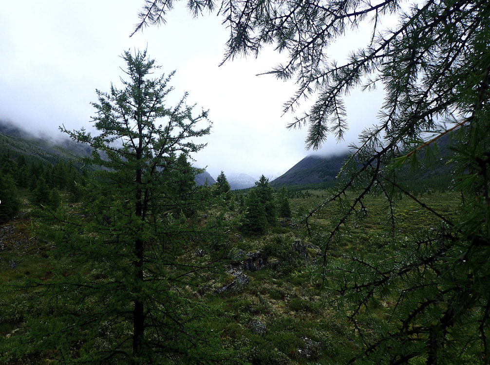 ������ �����-����