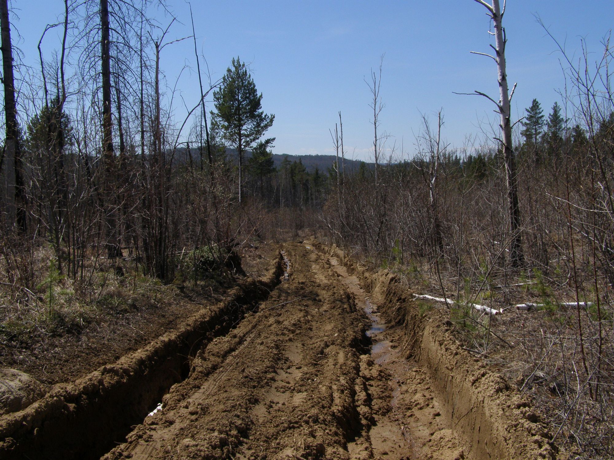 ������ � ������ ����� ���� �������