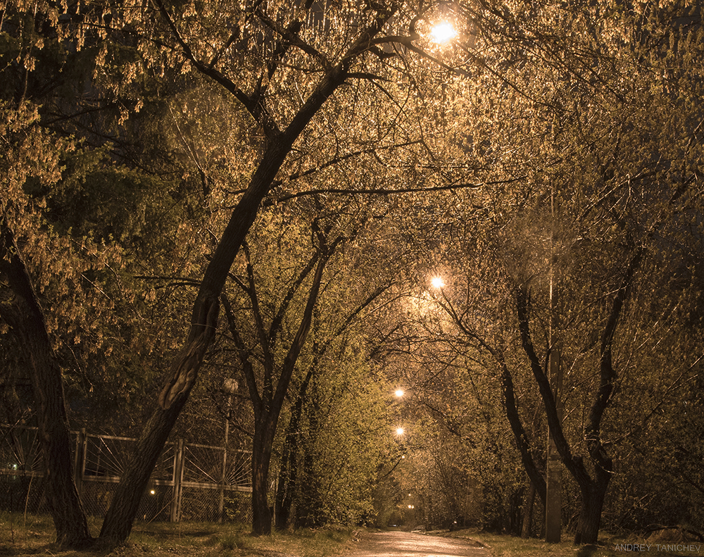 ������, �������� ��� �� ������ (1)