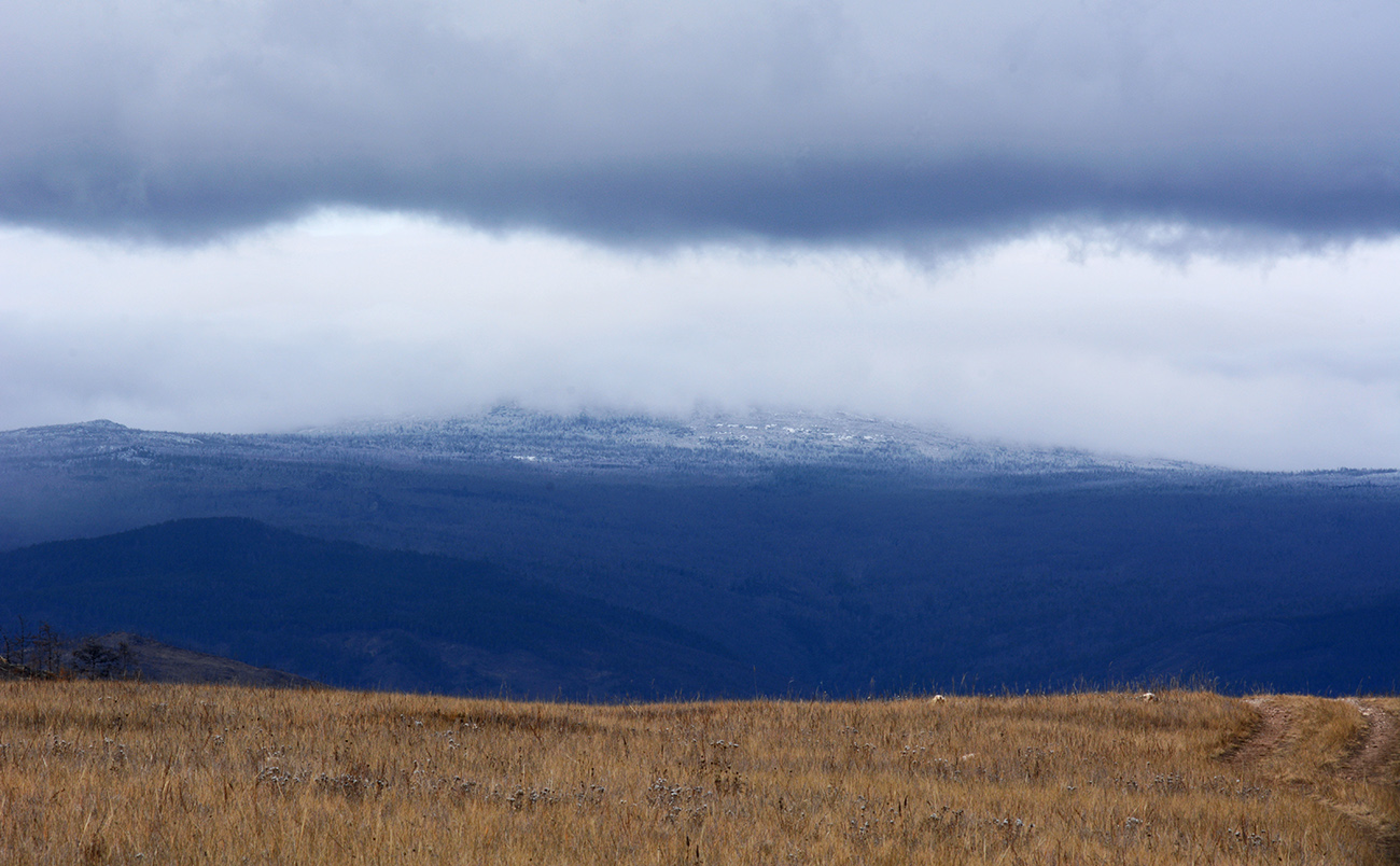 ����������� �������� �����