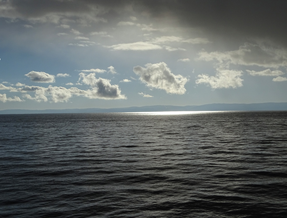 � ��������