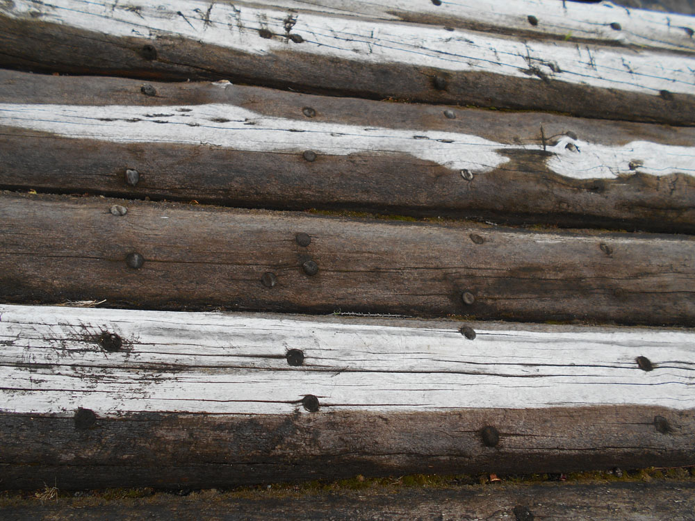 ���� �� ������)