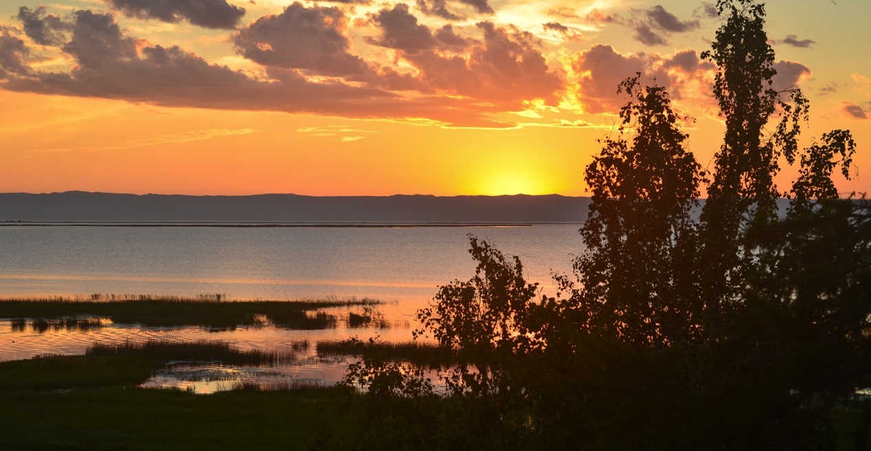 ��������� ���