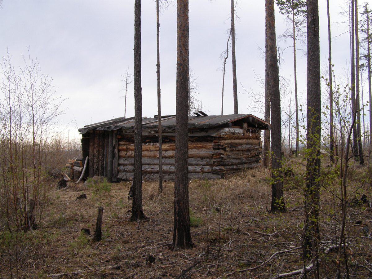 ������ ������� �������� �� ���������