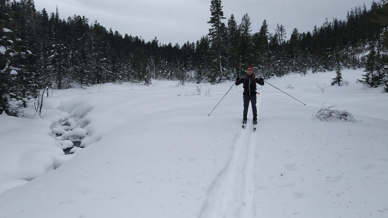 � ������ �� �������