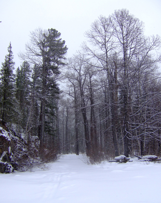 �������� ����� � ��������� �. ������