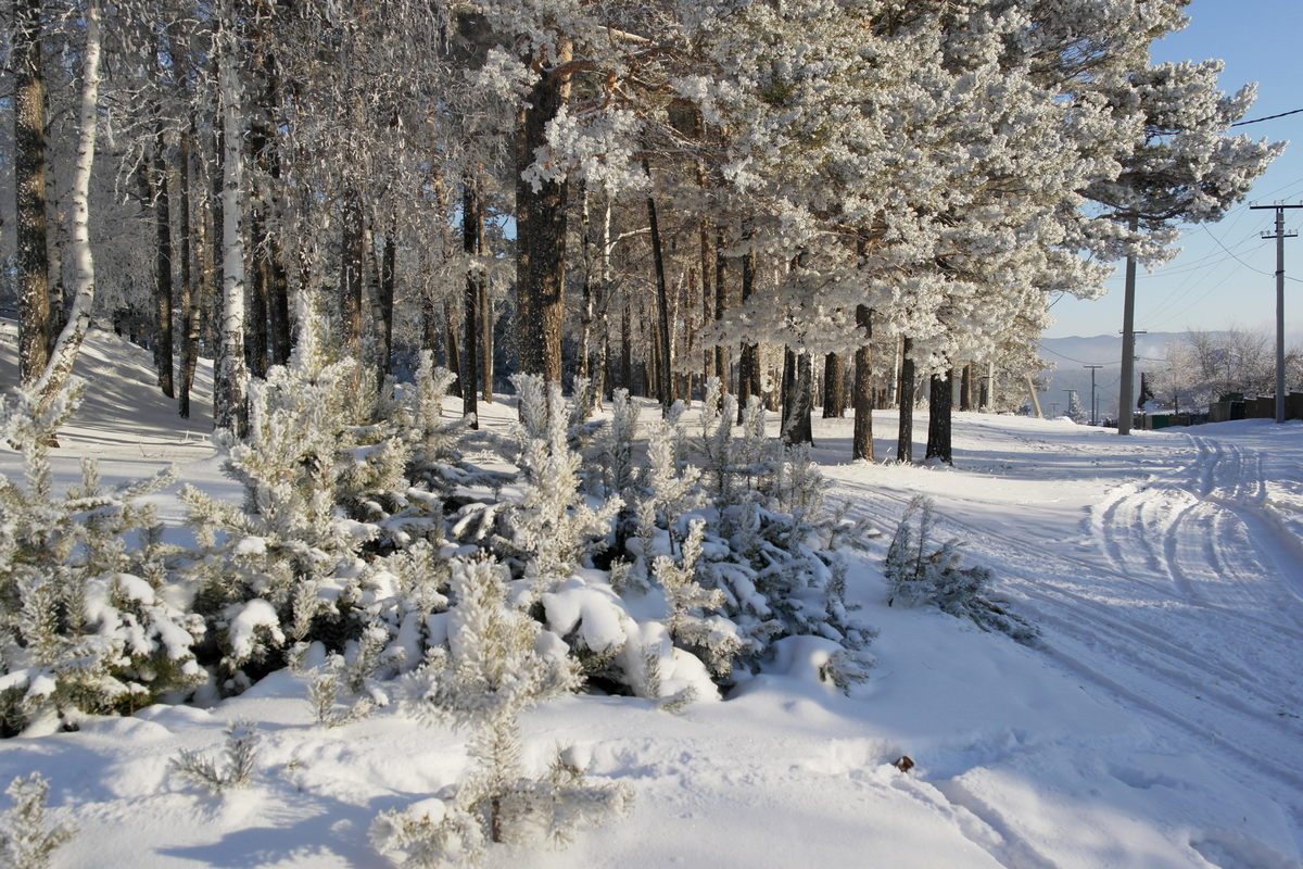 ������������� � ������ ����