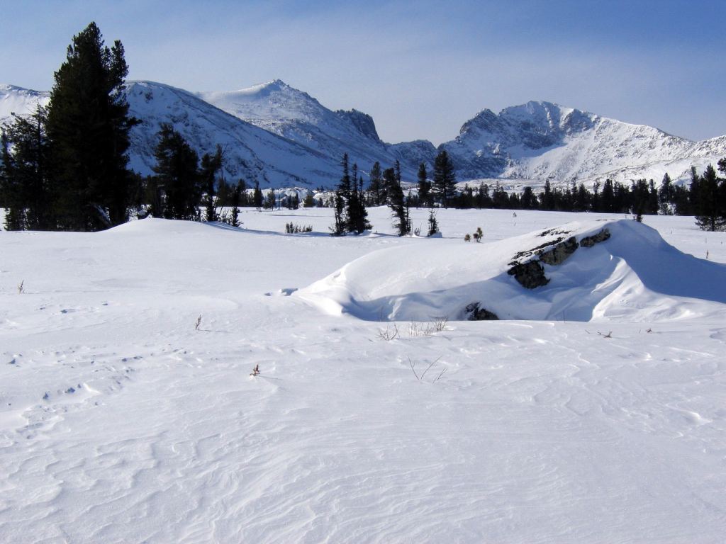 ������ - �����