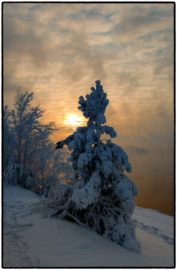 �� ������