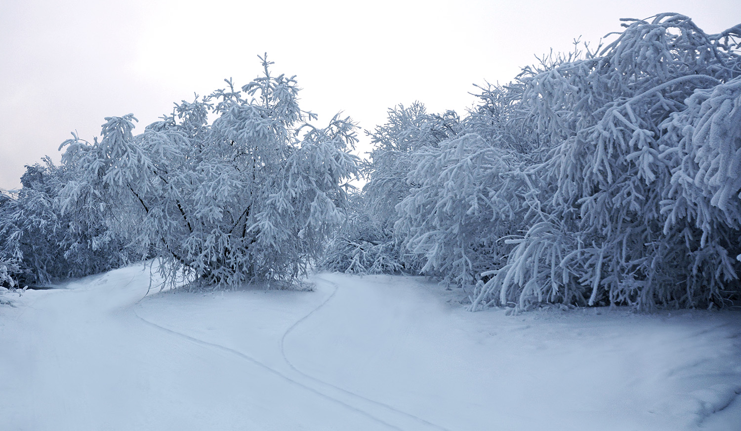 ���� 1 ������