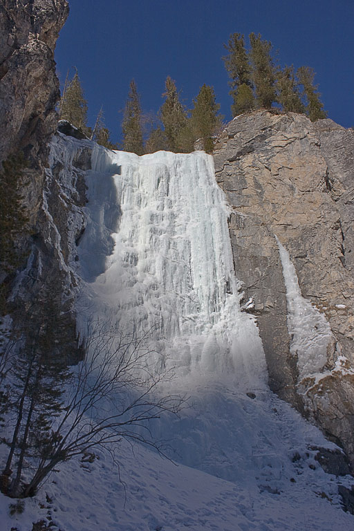 ����� ����