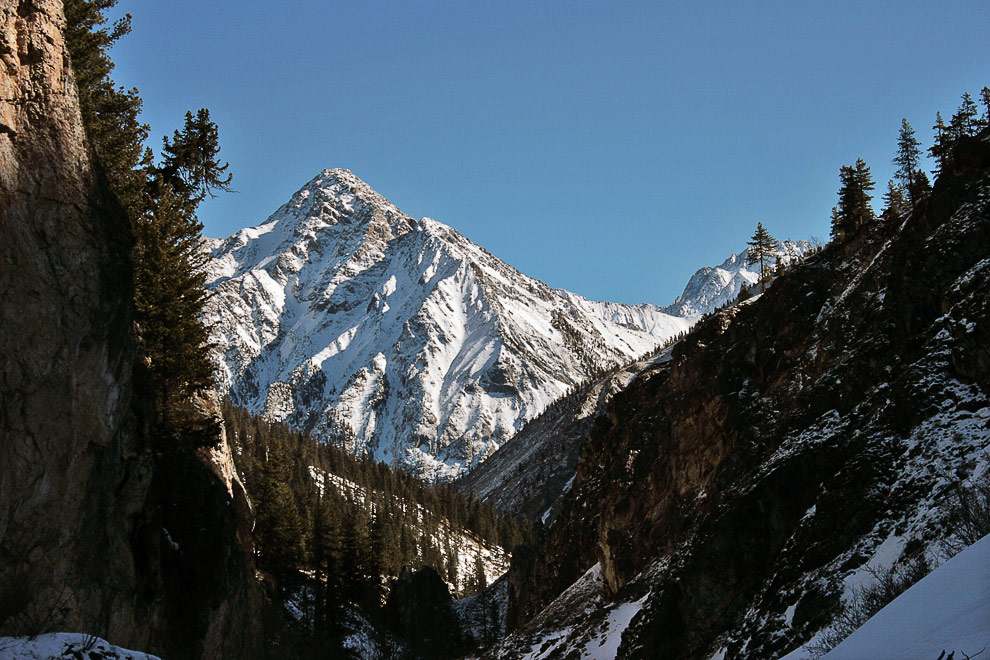 ����� ���� �� ������ ������