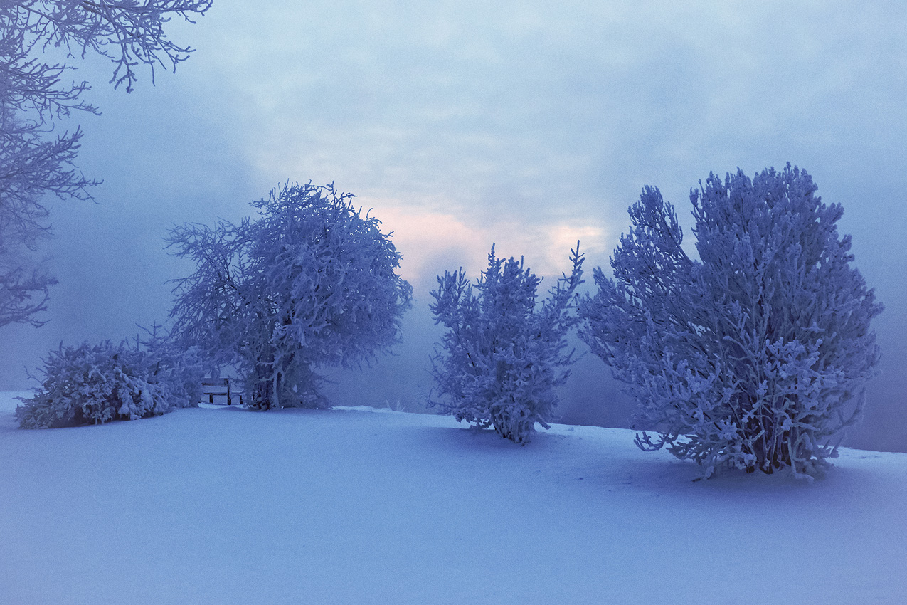 � �� ������� ����� ���� �����