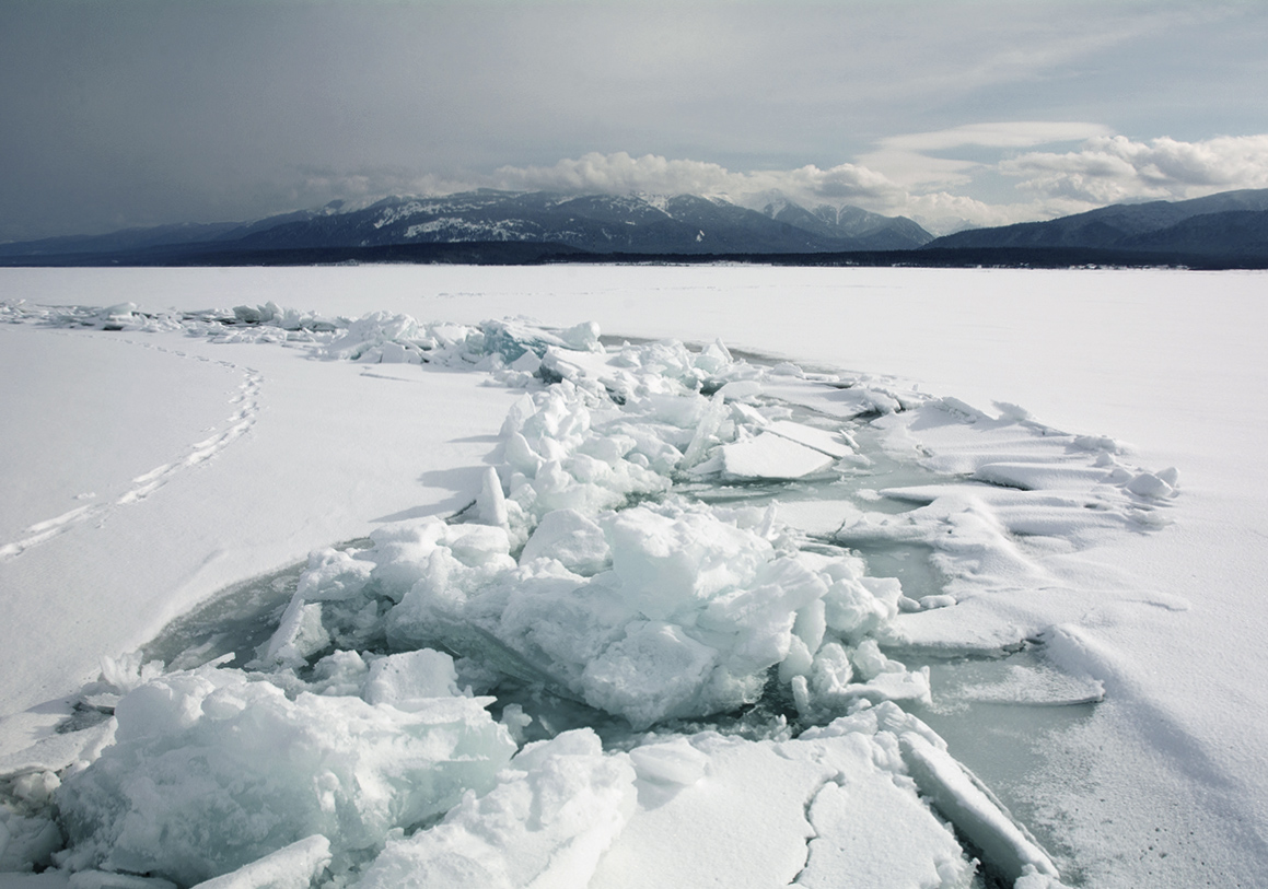 ������ ����� "�������" �������