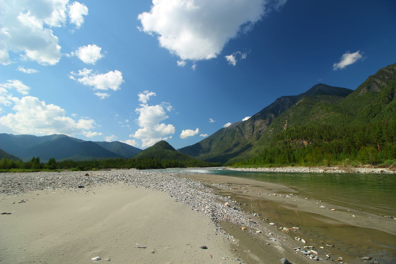 ����� �������