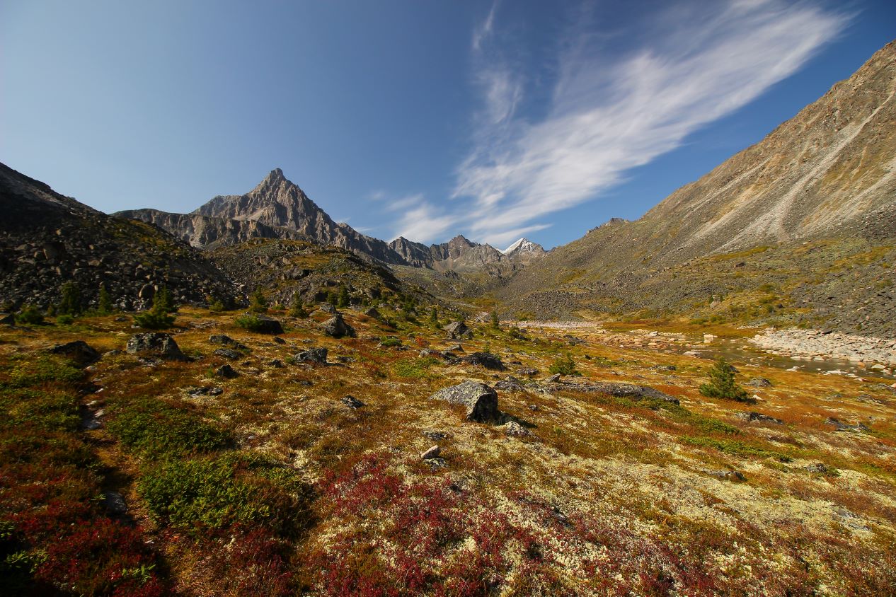 �����-��������