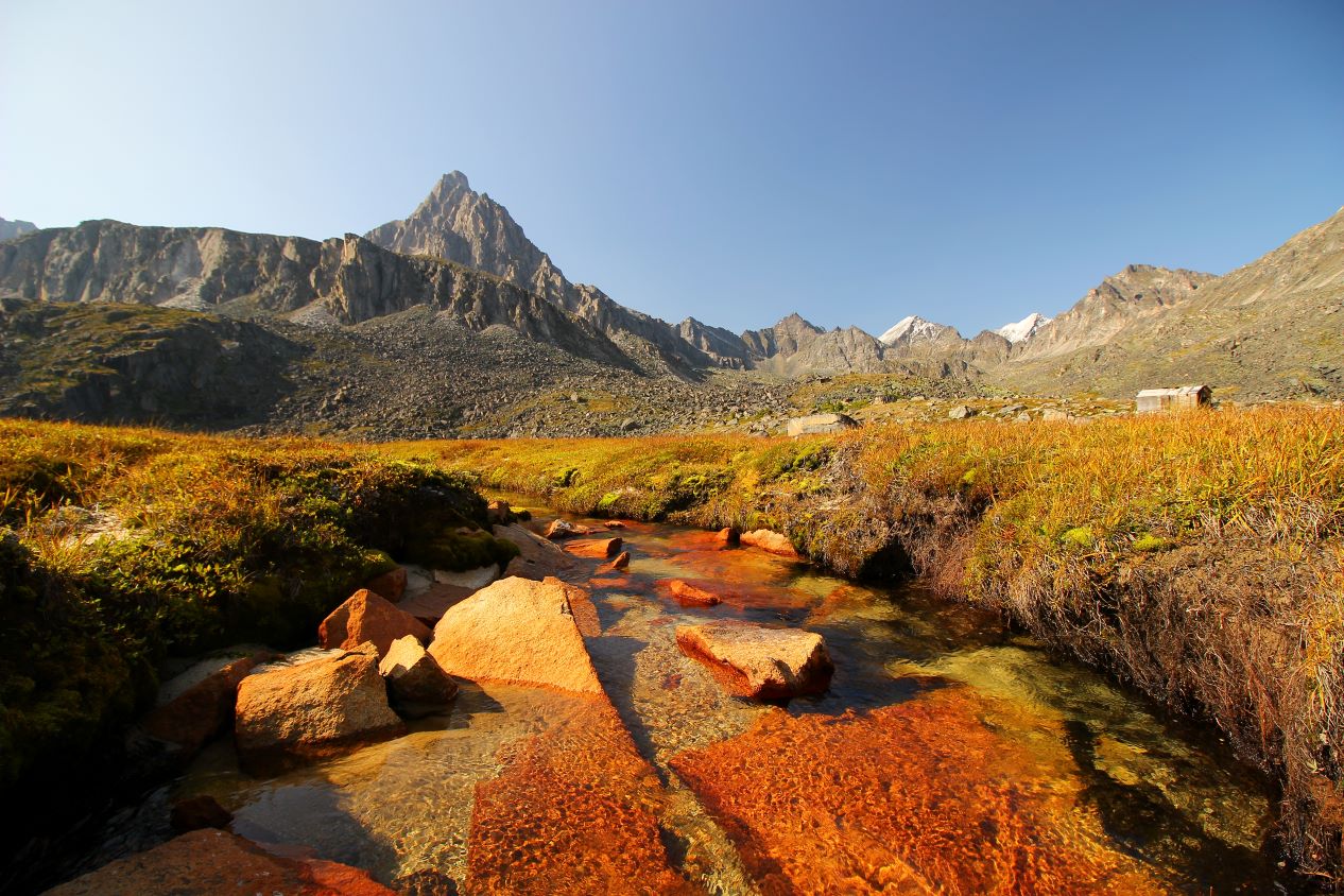 �����-��������