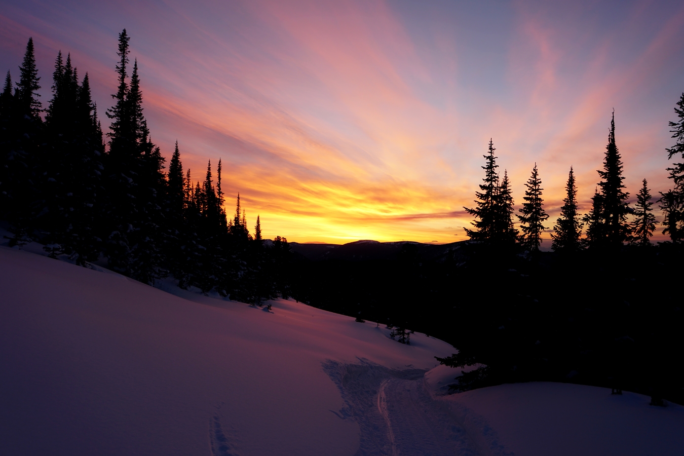 ����� �� ���